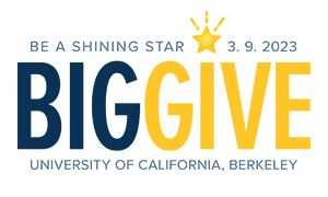 Be a shining star. March 9, 2023. Big Give.